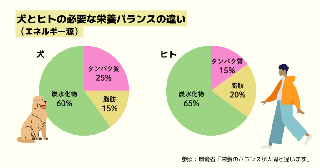 犬とヒト、似ているようで全然違う？「栄養バランス」の不思議